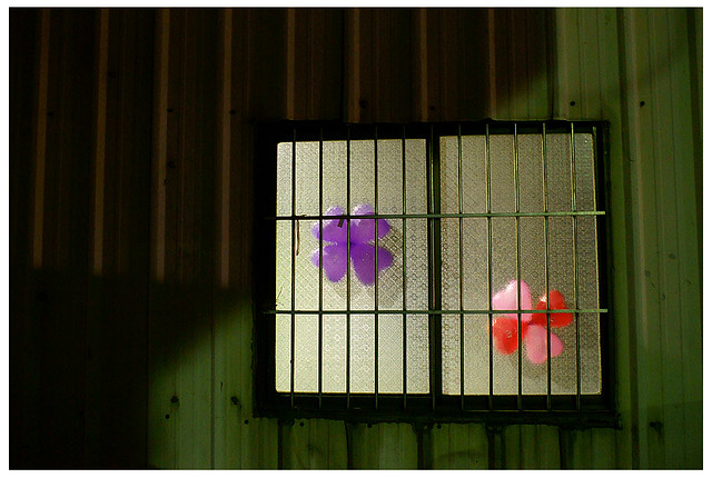 佳沅柔雅的婚禮_002