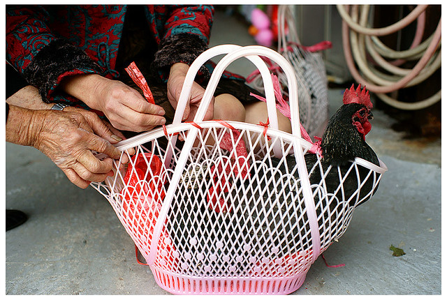 佳沅柔雅的婚禮_047