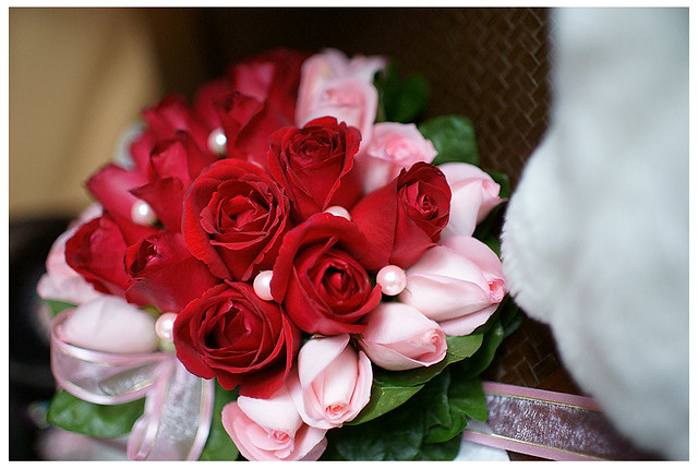 佳沅柔雅的婚禮_124