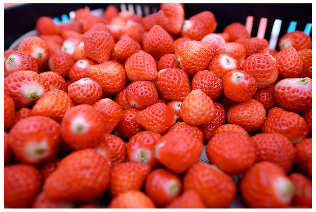 佳沅柔雅歸寧016S