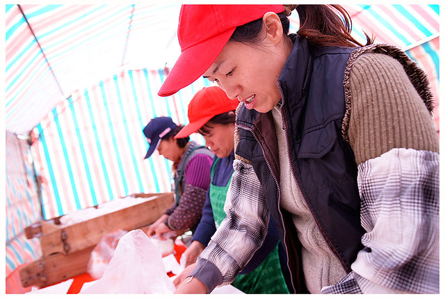 佳沅柔雅歸寧017S