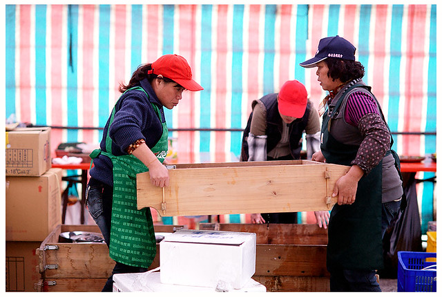 佳沅柔雅歸寧071S