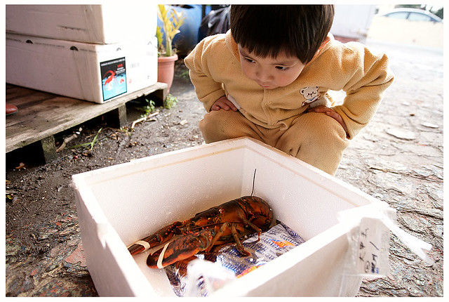 佳沅柔雅歸寧021S