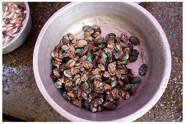 佳沅柔雅歸寧069S