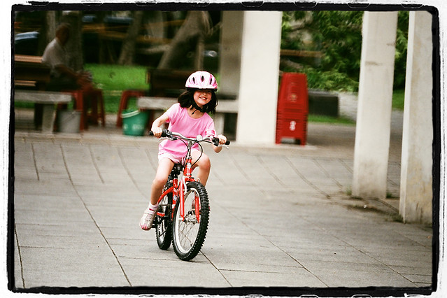 Story:King of the Pigeon