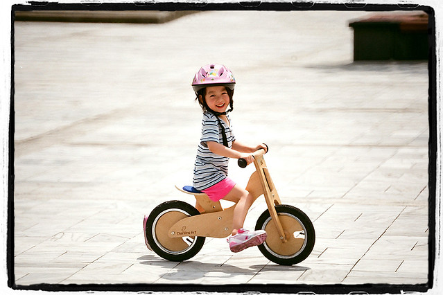 Story:King of the Pigeon